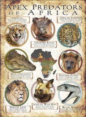 Apex Predators of Africa poster print