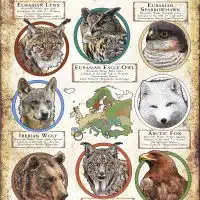 Apex Predator of Europe poster print