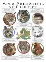 Apex Predators of Europe poster print