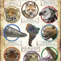 Apex Predators of South America poster print