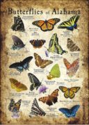 Butterflies of Alabama poster