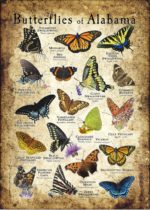 Butterflies of Alabama poster