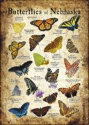 Butterflies of Nebraska poster print