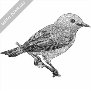 Prothonotary Warbler