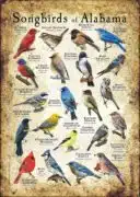 Songbirds of Alabama poster print