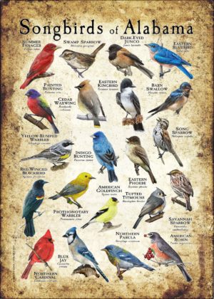 Songbirds of Alabama poster print