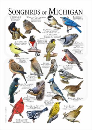 Songbirds of Michigan poster print