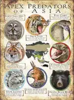 Apex Predators of Asia poster print