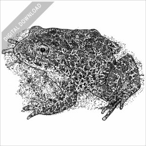 Dusky or Mississippi Gopher Frog