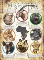 Endangered Mammals of Africa poster print