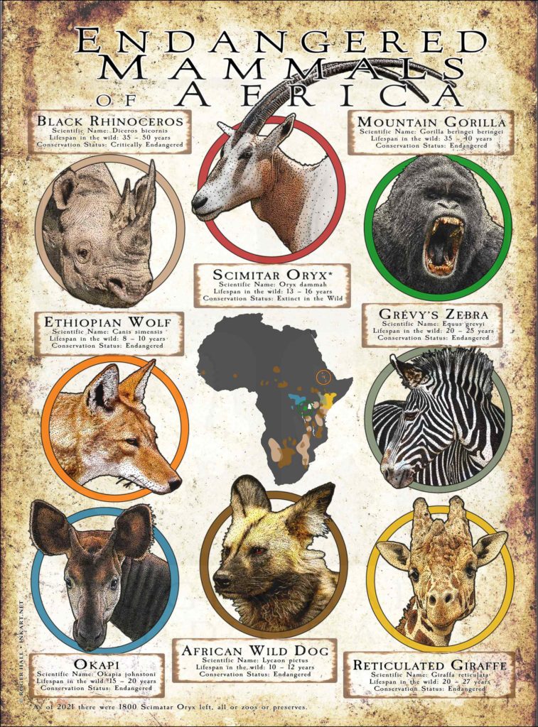 Endangered Mammals of Africa Poster Print
