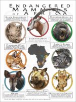 Endangered Mammals of Africa poster print