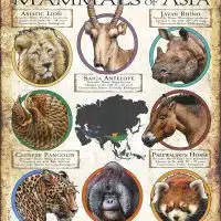 Endangered Mammals of Asia poster