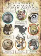 Endangered Mammals of North America poster print