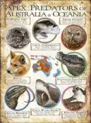 Apex Predator of Australia and Oceania poster print