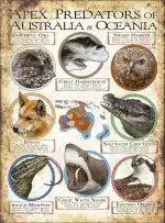 Apex Predator of Australia and Oceania poster print