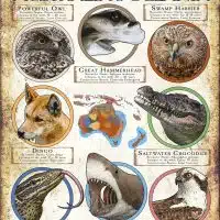 Apex Predator of Australia and Oceania poster print
