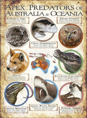 Apex Predator of Australia and Oceania poster print