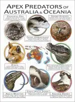 Apex Predator of Australia poster print