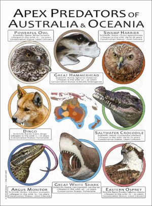 Apex Predator of Australia poster print