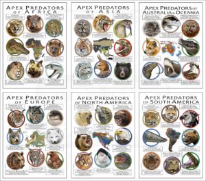 Apex Predators of the World poster print