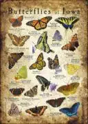 Butterflies of Iowa poster print