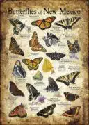 Butterflies of New Mexico poster print