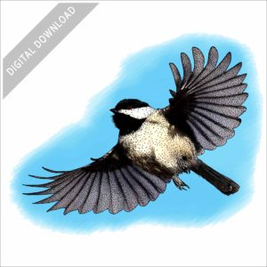 Carolina Chickadee stock image