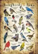 Songbirds of Iowa poster print