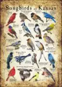 Songbirds of Kansas poster print