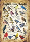 Songbirds of New Hampshire poster print