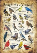 Songbirds of Vermont poster print