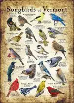 Songbirds of Vermont poster print