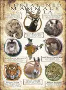 Threated Mammals of India poster print