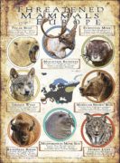 Threatened Mammals of Europe poster print