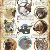 Threatened Mammals of Europe poster print