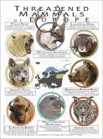 Threatened Mammals of Europe poster print