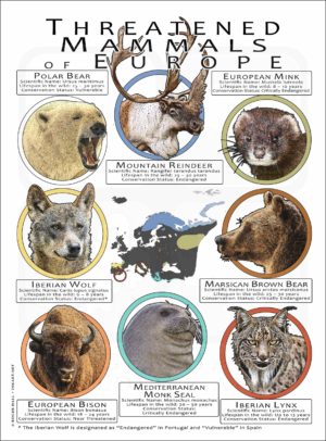Threatened Mammals of Europe poster print