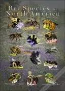 Bee Species of North America poster print