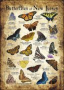 Butterflies of New Jersey poster print
