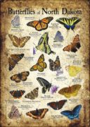 Butterflies of North Dakota poster print