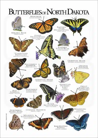 Butterflies of North Dakota poster print