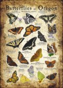 Butterflies of Oregon poster print