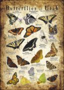 Butterflies of Utah poster print