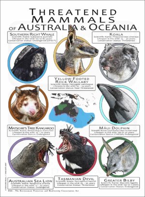 Endangered Mammals of Australia & Oceania poster print