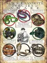 Customized "Favorite Animal" Poster - Image 7