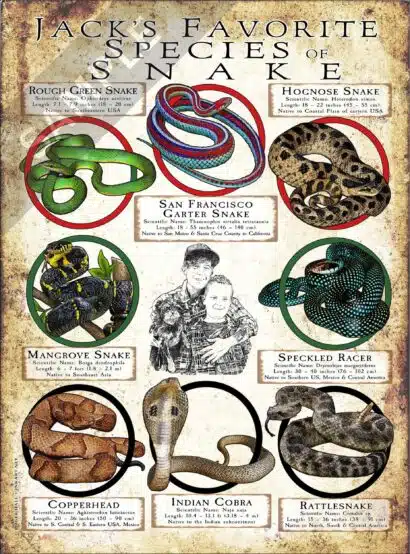 Customized "Favorite Animal" Poster - Image 7