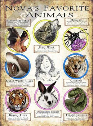 Customized poster print