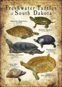 Freshwater Turtles of South Dakota poster print