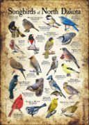 Songbirds of North Dakota poster print